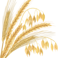Algoran Agro